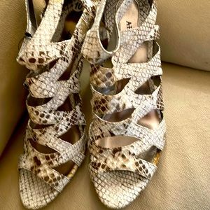 Beautiful designer shoes worn. Gently used